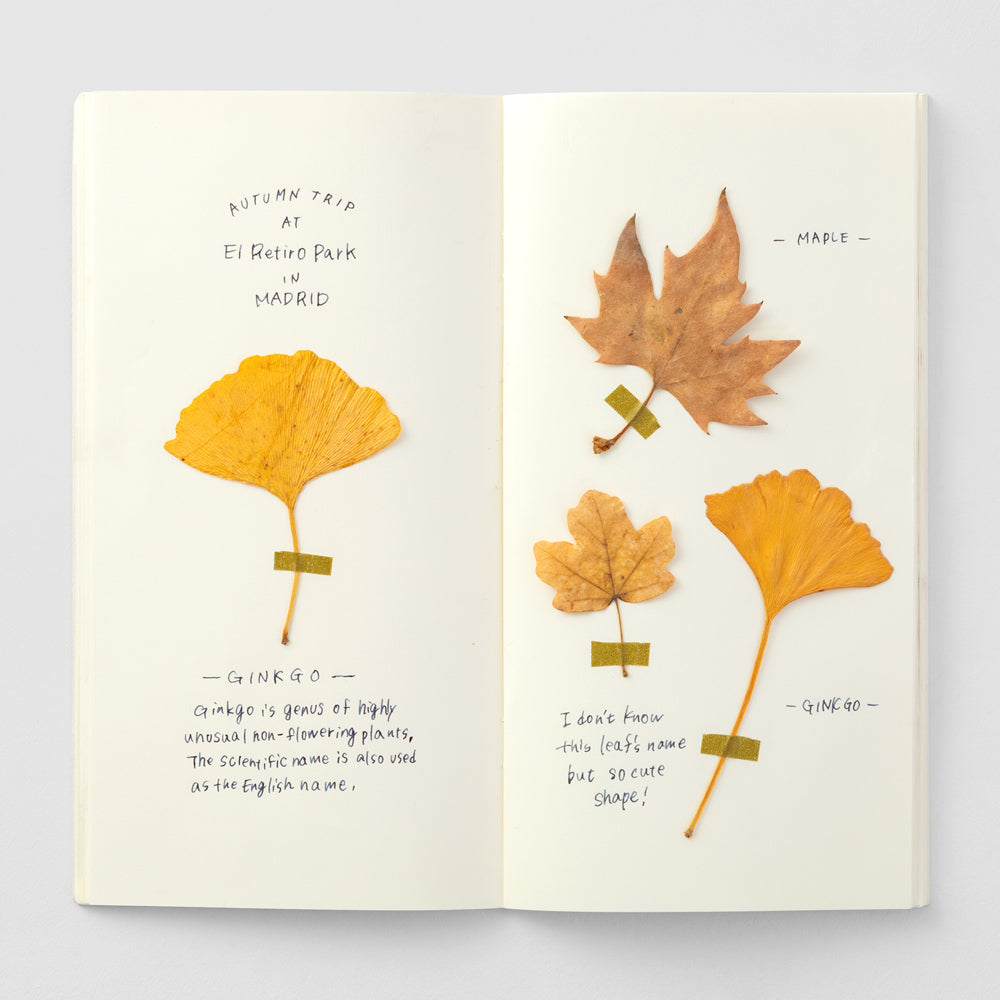 TN Regular Size Refill | MD Paper Cream | 025 - Simple Paper