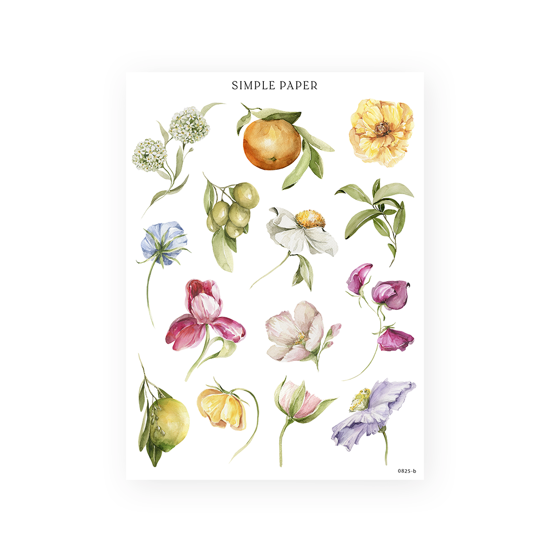 Letters From Tuscany – Individual cut florals and citrus stems in watercolor style