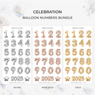 Celebration Balloon Numbers Bundle with silver, rose gold, and gold sticker sheets featuring numbers, stars, and 2025.
