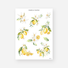 Lemon branch and blossom stickers in soft watercolor style

