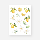 Lemon and citrus slice stickers with green leaves and white blossoms

